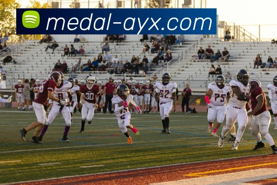 爱游戏品牌故事